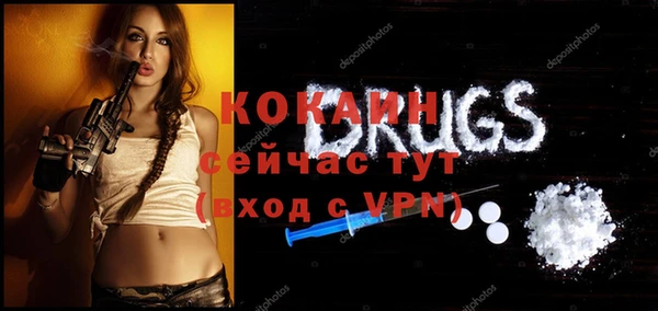 шишки Арсеньев