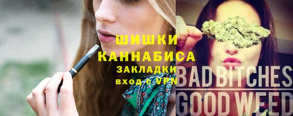 индика Алексин