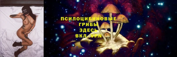 винт Алзамай