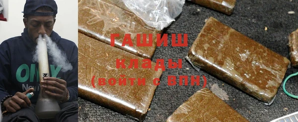 индика Алексин