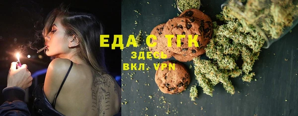 индика Алексин