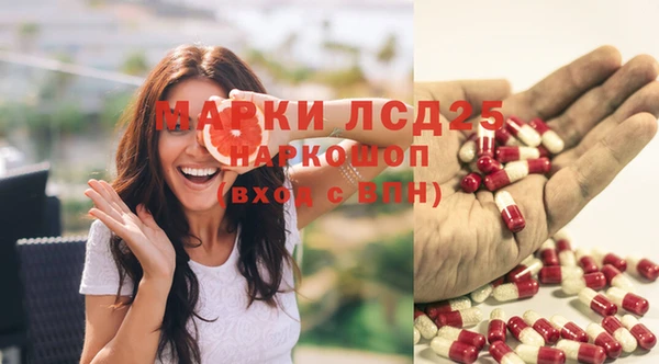 шишки Арсеньев