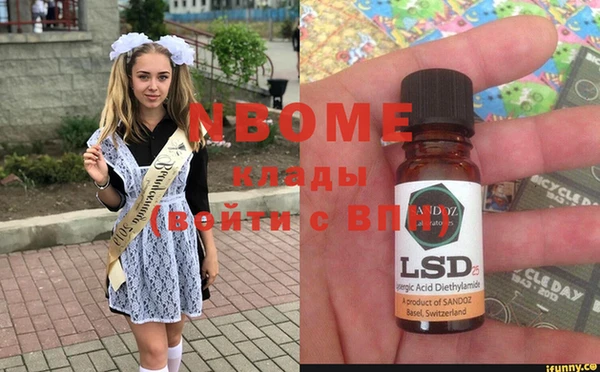 винт Алзамай